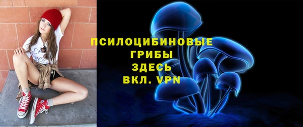 мдпв Нефтегорск